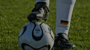 05月11日 德甲 科隆vs柏林联合直播免费|欧洲杯直播